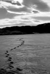Walking on Water